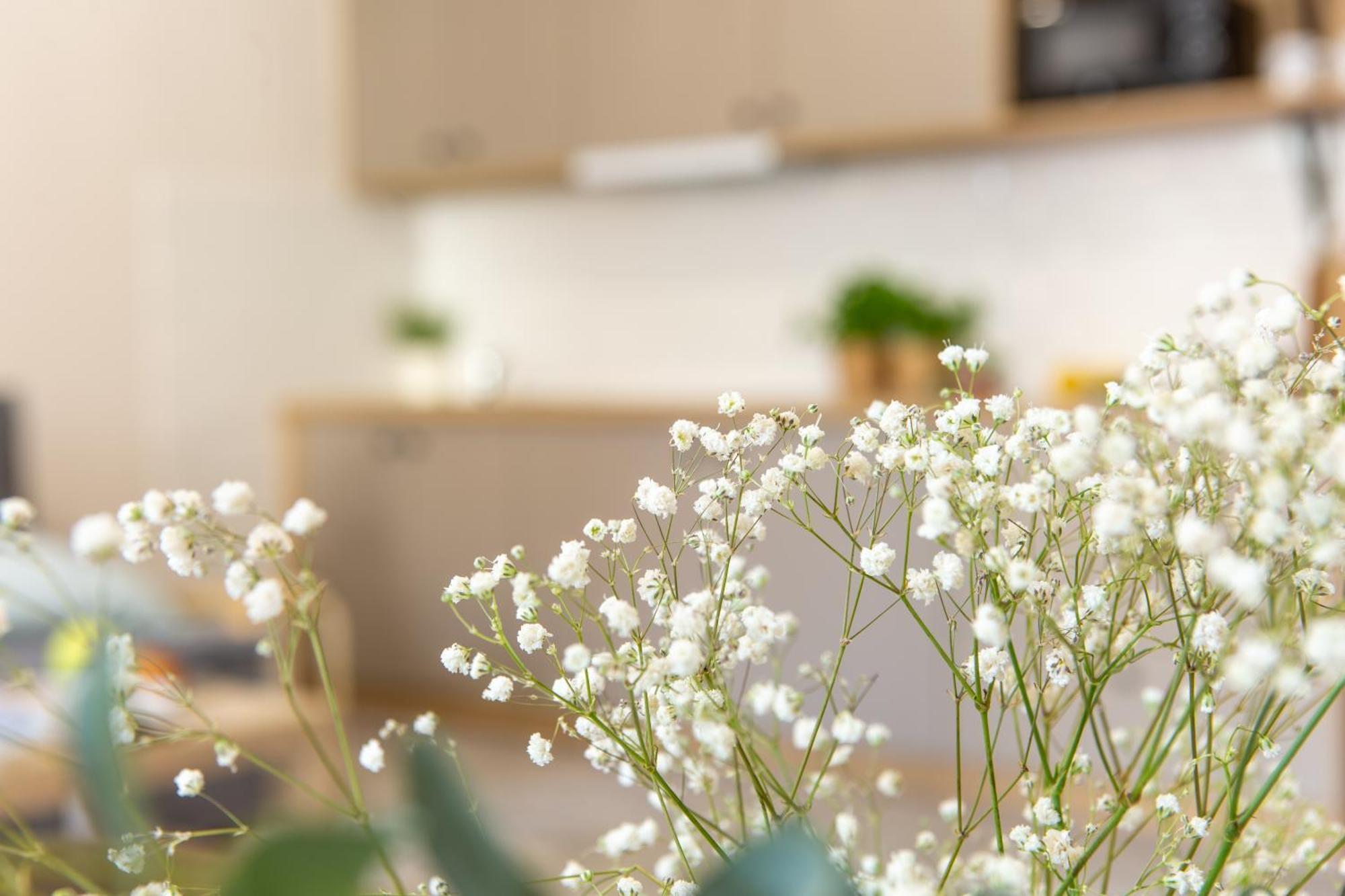 Apartamenty Kdn Na Rysiej Катовице Экстерьер фото